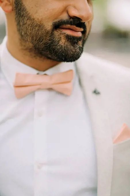 Young man, suit, bow tie, beard, southern, portrait, cropped