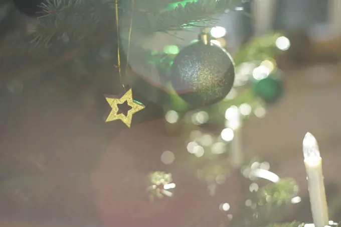 A golden star on the Christmas tree.