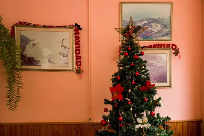 Spain, Canary Islands, La Gomera, Agulo, cafe interior, Christmas tree