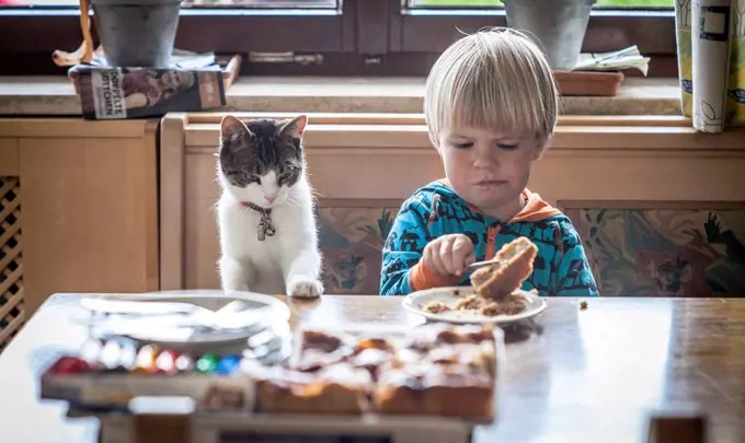 Child with cat with the breakfast at the kitchen table, half portrait