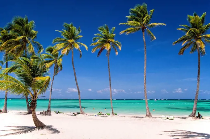 Beach of Punta Cana, the Dominican Republic