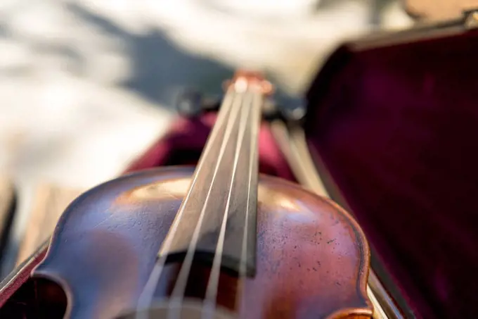 Violin in the violin case