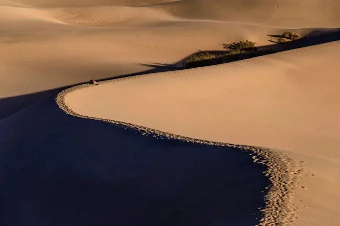 The USA, California, Death Valley National Park, Stovepipe Wells, Mesquite Flat Sand Dunes