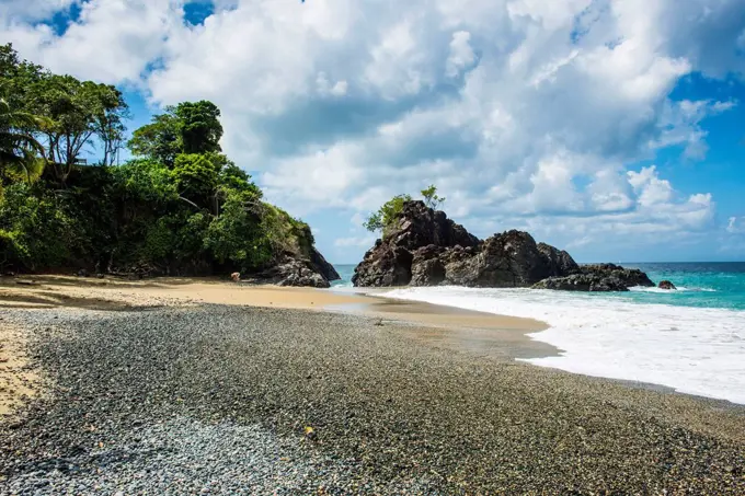 Turtle beach, Tobago, Trinidad and Tobago, Caribbean