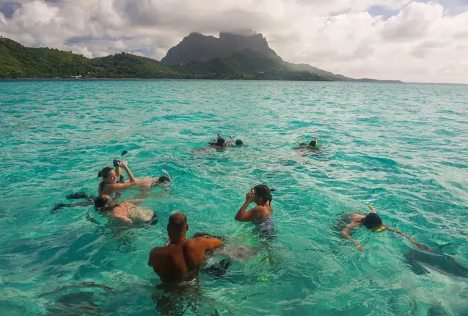 Tourists swimming with sting rays, Bora Bora, French Polynesia