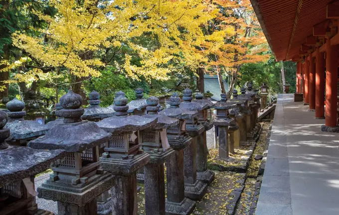 Japan, Nara City, Kasuga Taisha Shinto Shrine,