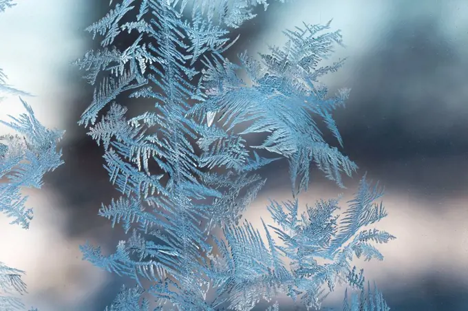 Ice Crystals In Window Glass, bokeh background