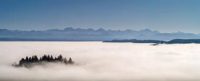Fog island above high fog