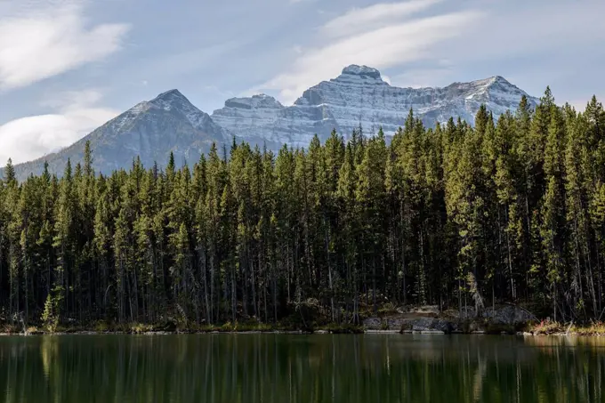 Banff National Park, Herbert Lake, forest, Rocky Mountains