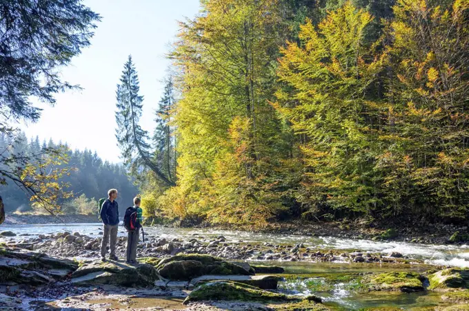 Saulgrub, father and son hiking, looking for the way at bank of river Ammer, Upper Bavaria, Bavaria, Germany
