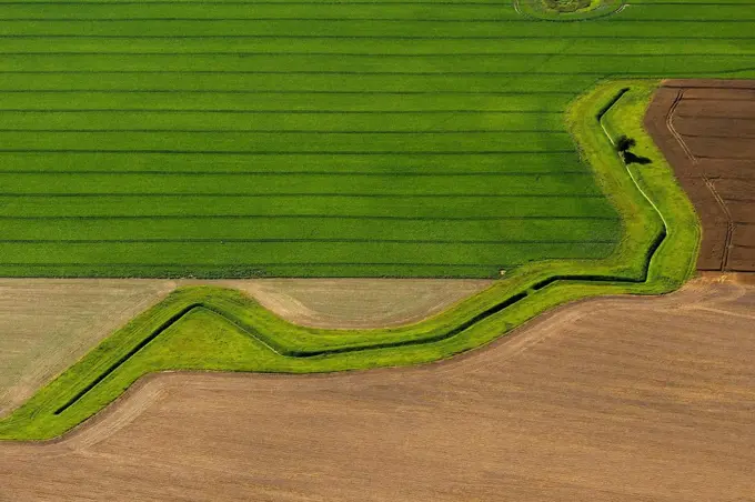 Aerial view, drainage ditch, field, graphic landscape, Groß Polzin, Baltic Sea, Mecklenburg-Western Pomerania, Germany, Europe