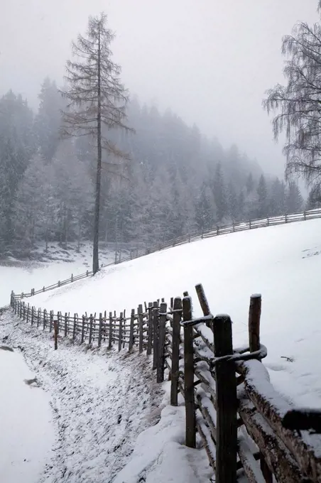 Winter landscape in the South Tyrolean Ultental
