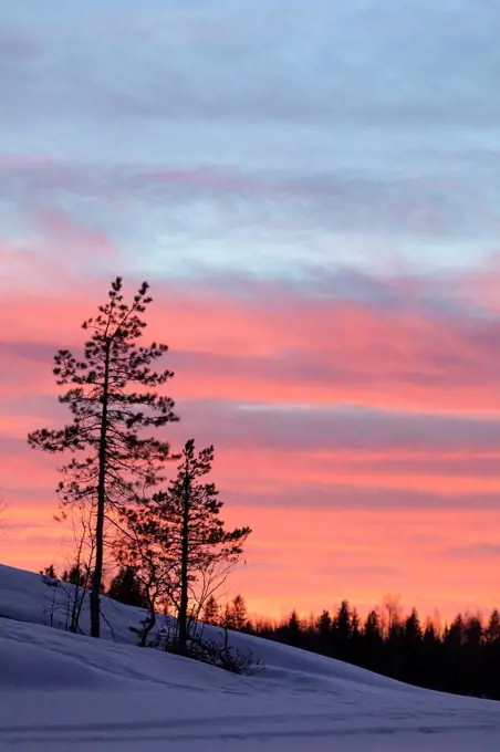 Finland, Saimaa area, evening sky with trees and snow on lake