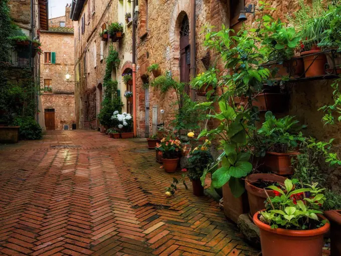 Town of Pienza, Val d'Orcia, Tuscany, Italy, alley with flower arrangements