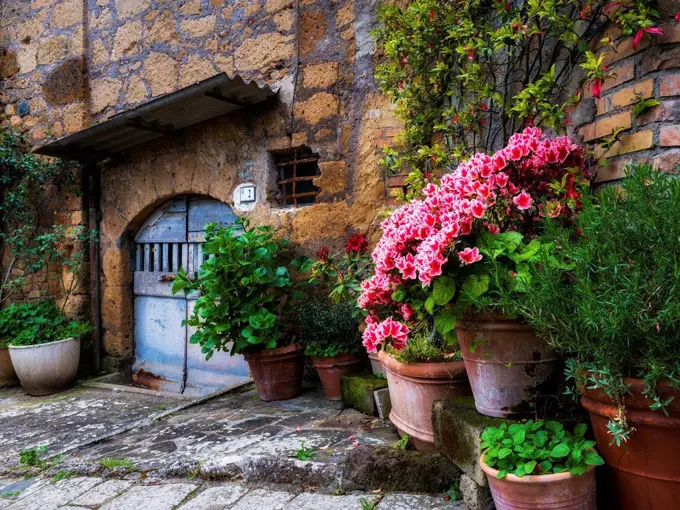 Sorano, Tuscany, Italy, old town alley with flower arrangements in front of an entrance