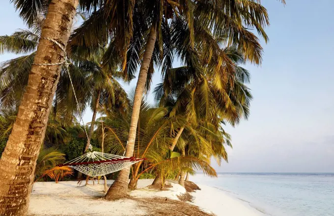 The Maldives, Ari atoll, Vilamendhoo, the sun, sea, palms, beach, hammock, clear water, M