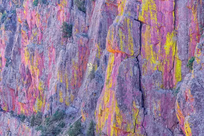 Multicoloured canyon wall, Coconino National Forest, Arizona, USA, North America
