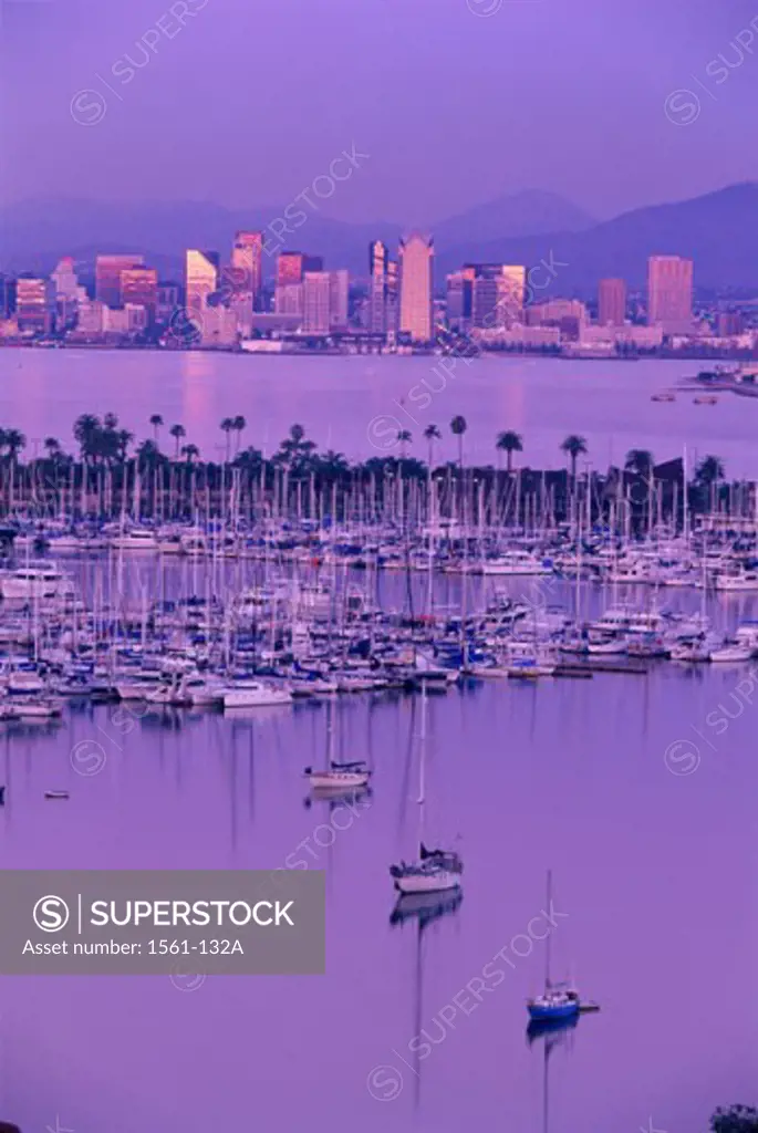 High angle view of sailboats docked in a harbor, San Diego, California, USA