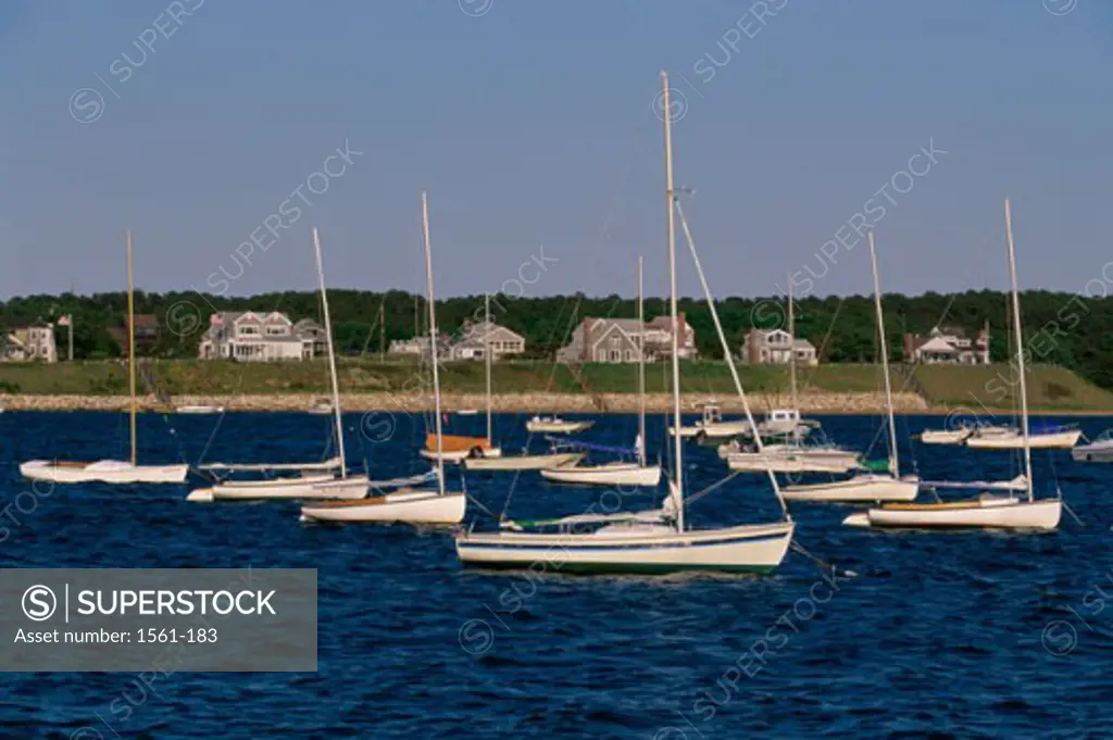Sailboats moored in a harbor, Wellfleet Harbor, Massachusetts, USA