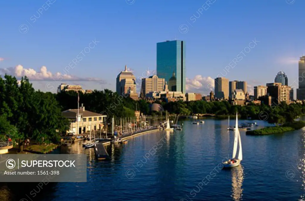 High angle view of a sailboat in a river, Charles River, Boston, Massachusetts, USA