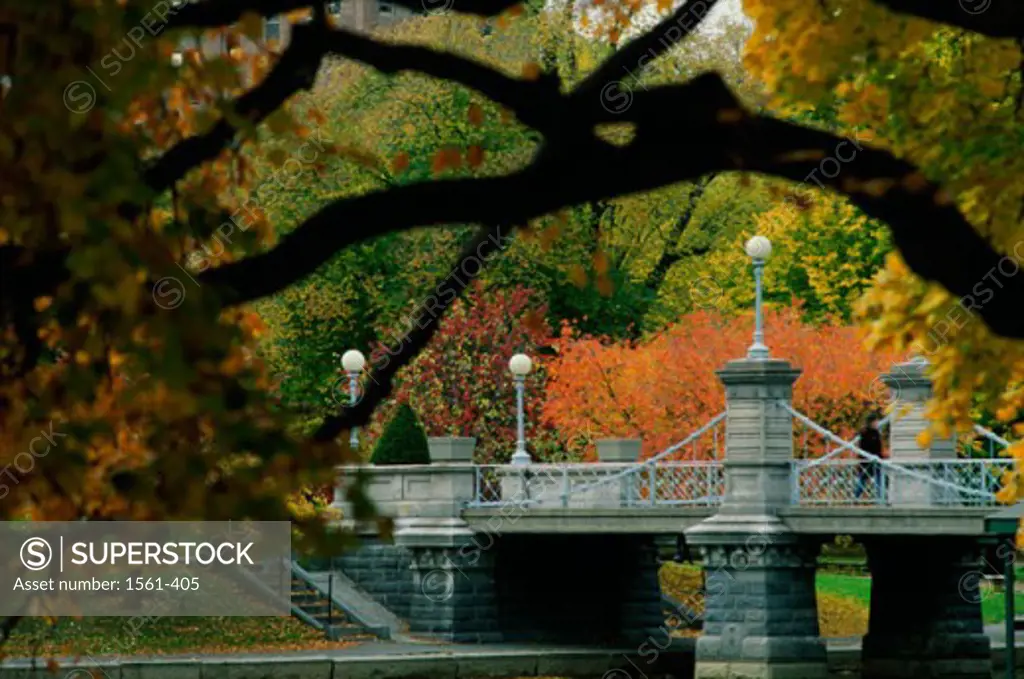 Bridge in a formal garden, Boston Public Garden, Boston, Massachusetts, USA