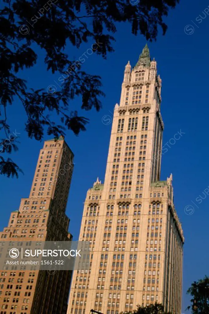 Woolworth Building New York City USA