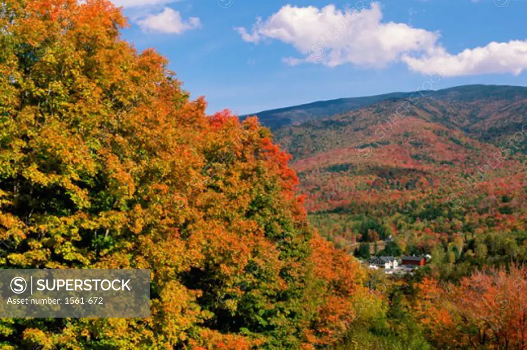 White Mountain National Forest New Hampshire USA