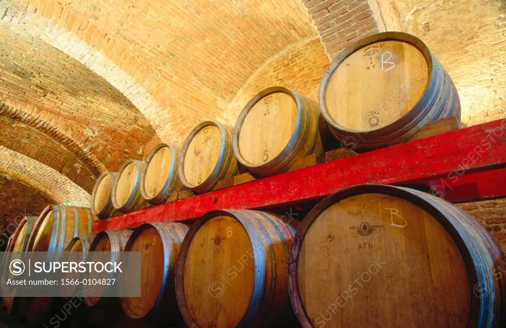 Wine Cellar at Citta della Pieve. Duca della Corgna winery. Umbria. Italy