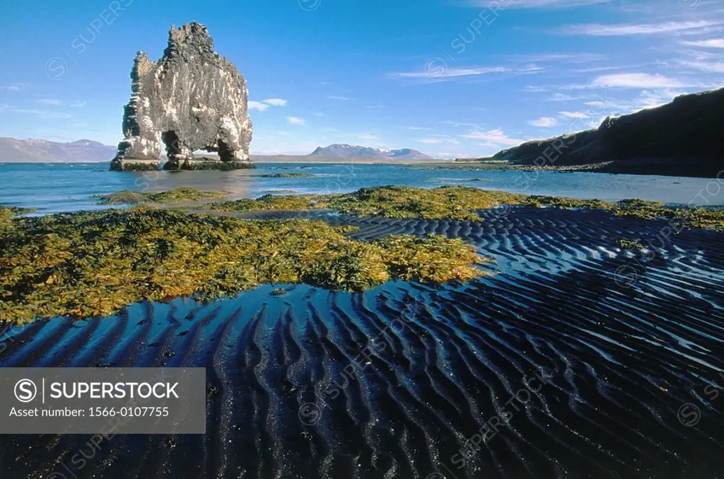 Hvítserkur Rock. Hunafloi Bay. Iceland