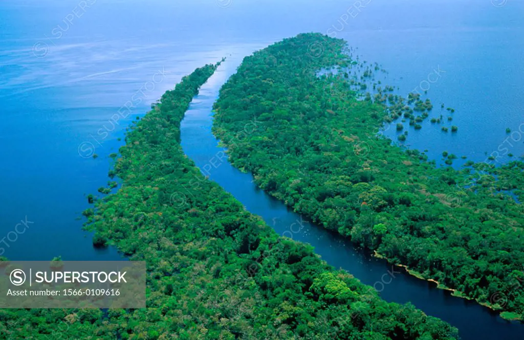 Amazon River. Rio Negro. Brazil