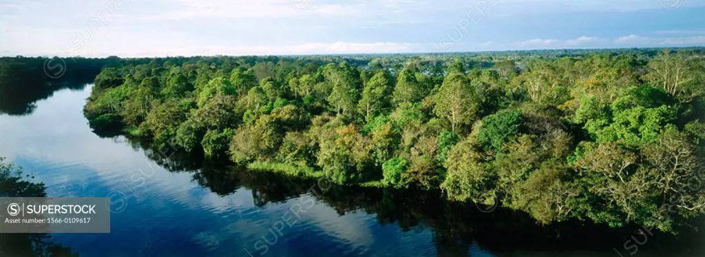 Ariau River and tropical forest. Amazon area. Brazil