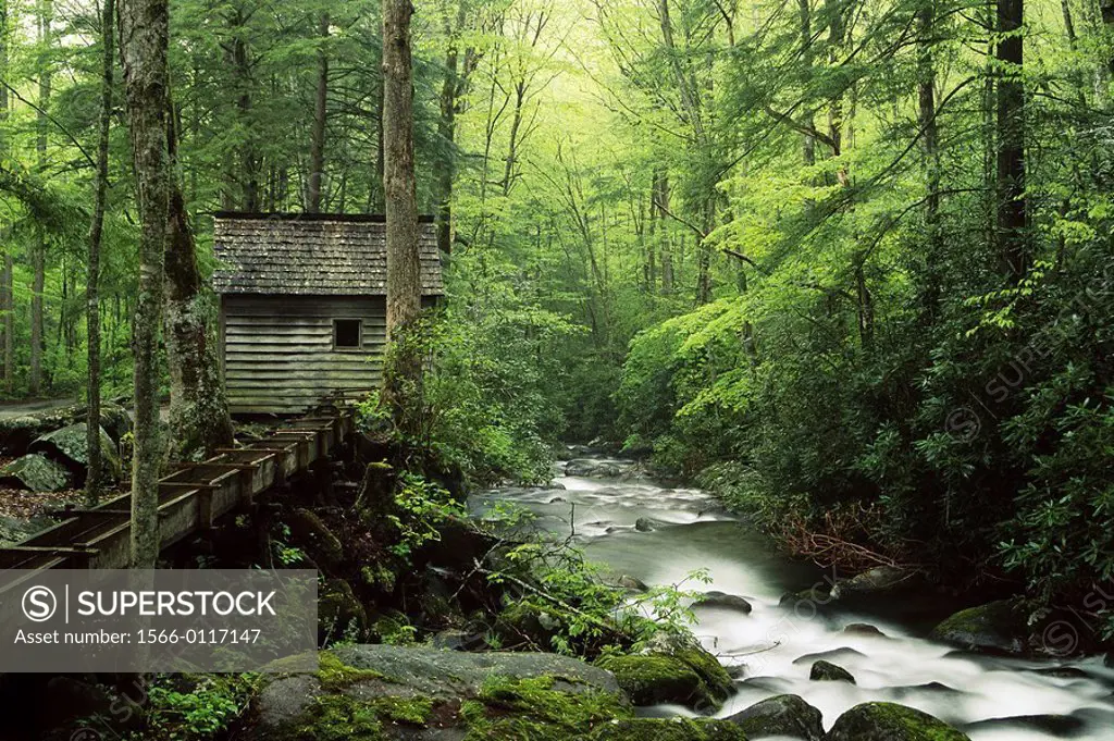 Reagan tub mill. Roaring Fork. Great Smoky Mountains NP. Tennesse. USA