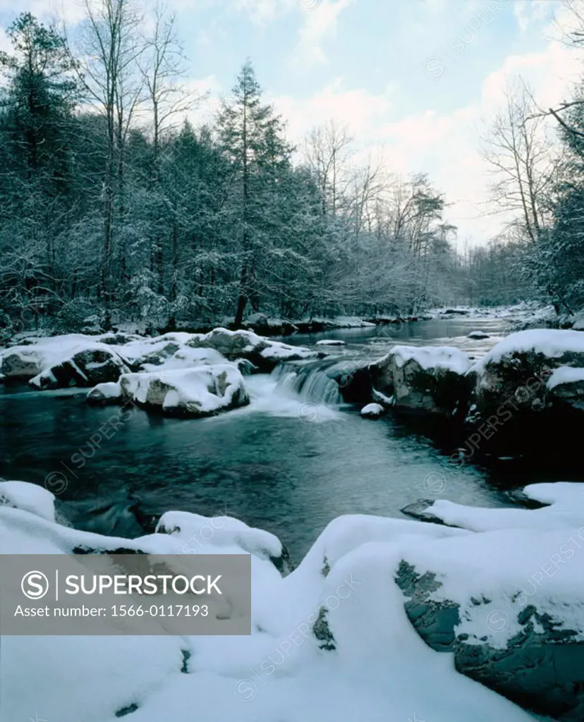 Little Pigeon River in winter. Great Smoky Mountains National Park. Tennessee. USA