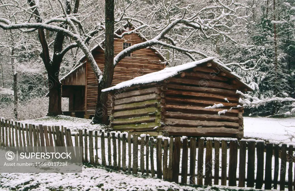 Tipton cabin. Cades Cove. Great Smoky Mountains National Park. Tennessee. USA
