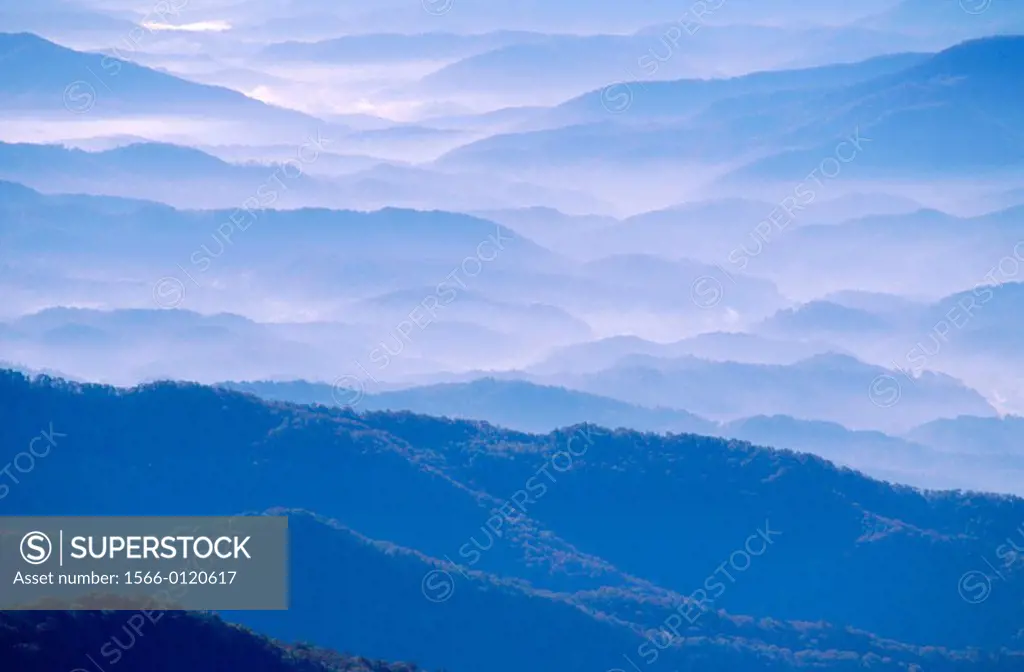 Great Smoky Mountains National Park. North Carolina. USA