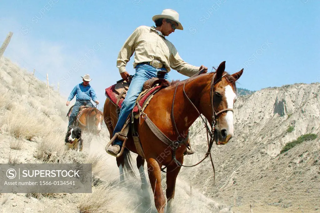 Two cowboys on horses riding down hill