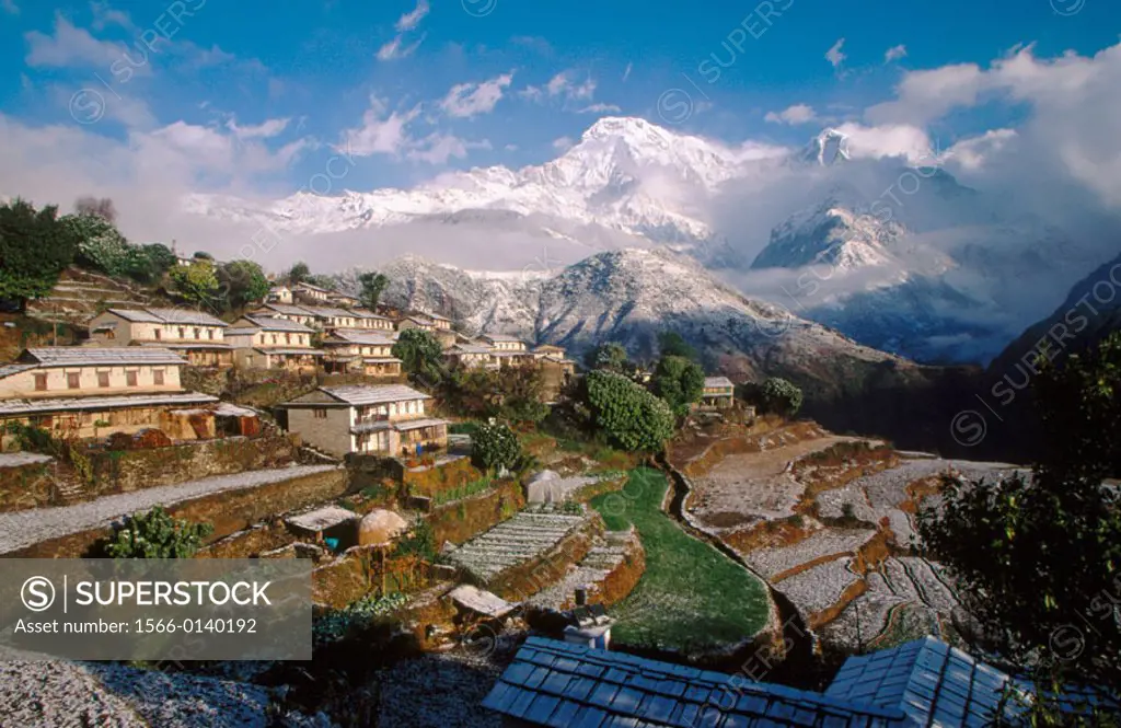 Annappurna South (7.219 m.) and Ghandrung village after winter snowfall. Himalayas. Nepal