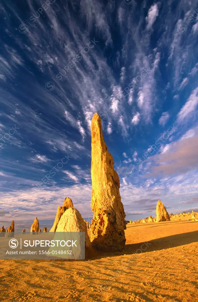The Pinnacles. Nambung National Park. Western Australia