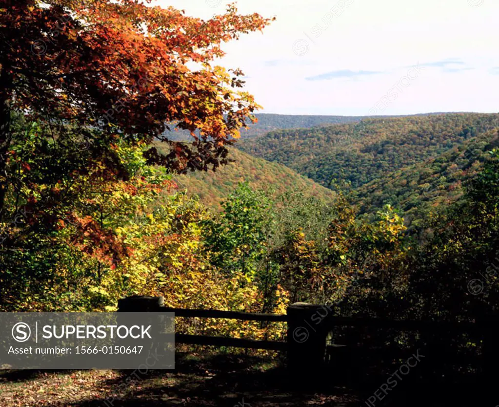 Monroe Run vista in autumn. Savage River State Forest. Western Maryland. USA