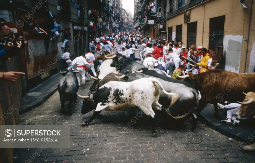 Running of the bulls. San Fermin. Pamplona. Navarre. Spain