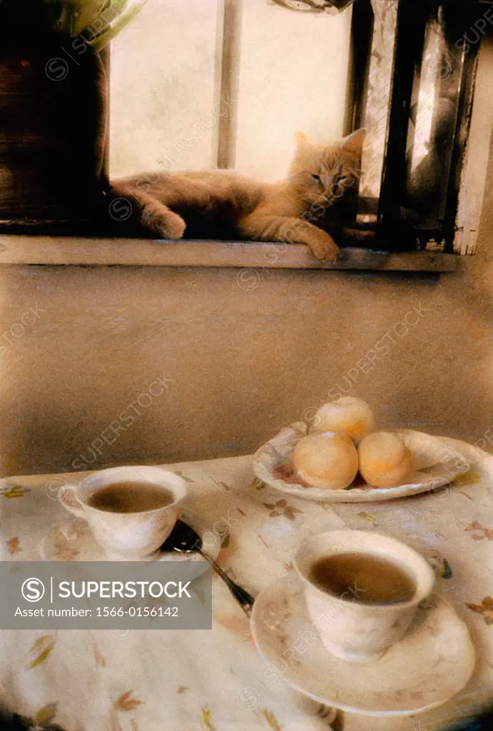 Cat in window with coffee cups and fruit on table