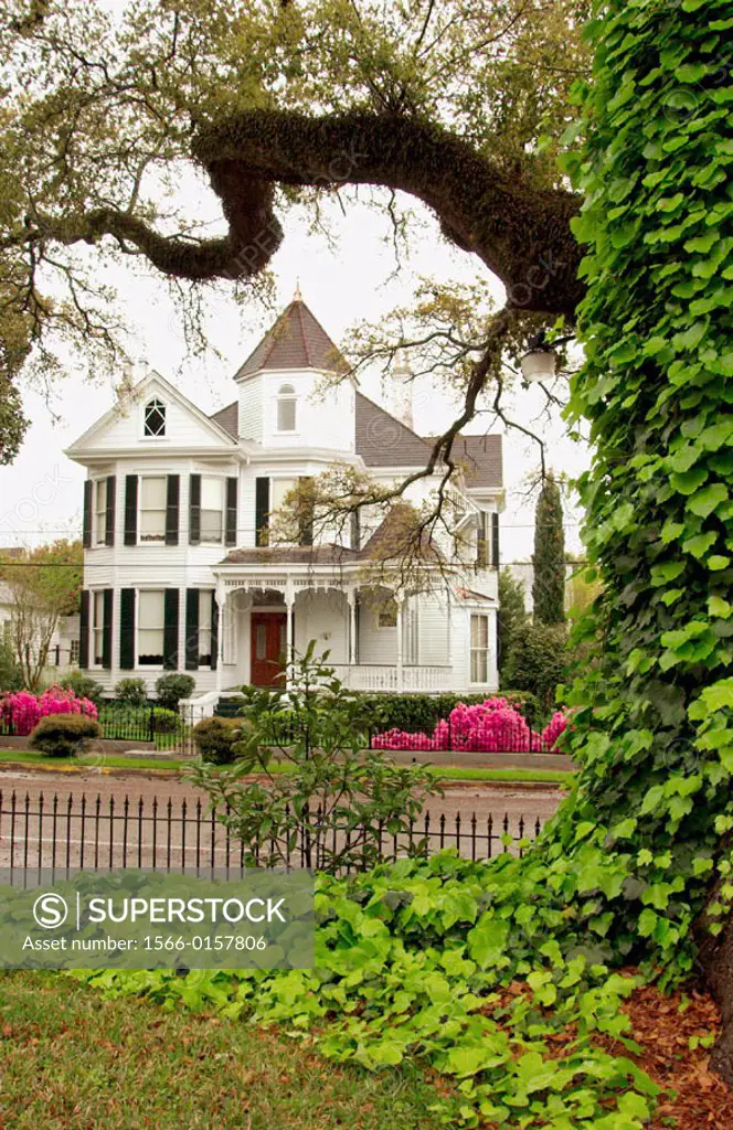 Antebellum home with azaleas in Natchez, Mississippi, USA