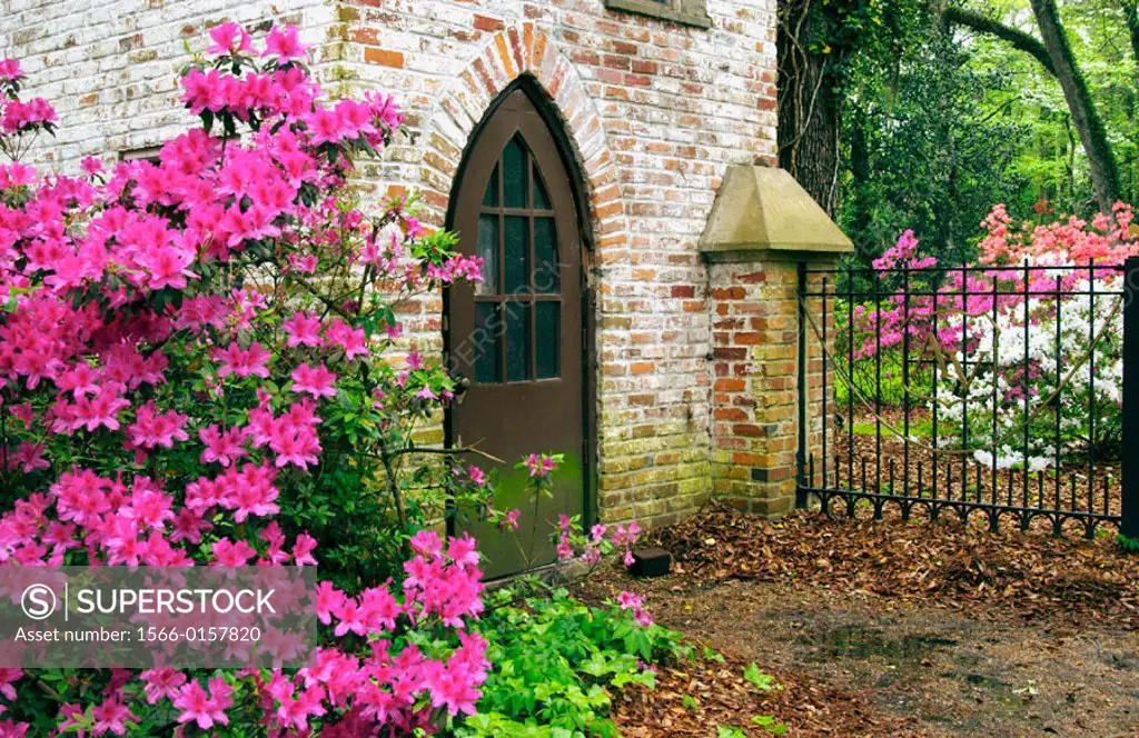 Afton Villa entrance with live oak and azalea blossoms near St. Francisville, Louisianna
