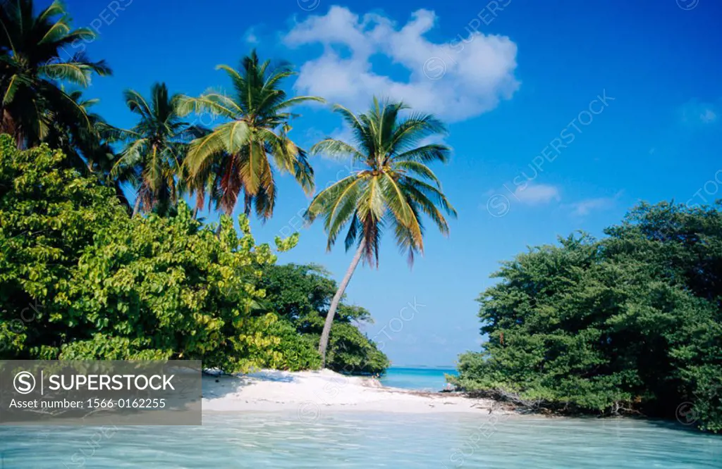 Tropical Island in North Male atoll, Maldives
