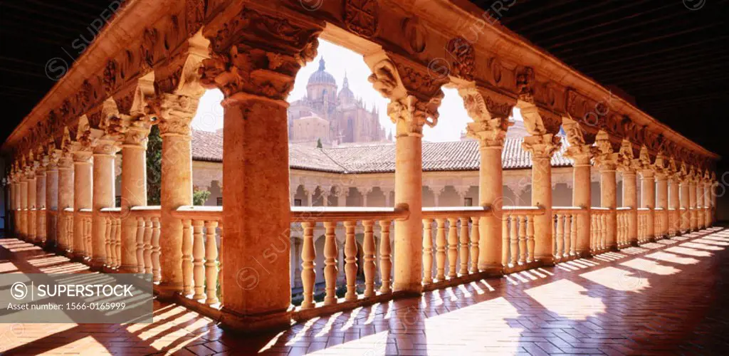 Convento de las Dueñas. Salamanca. Spain