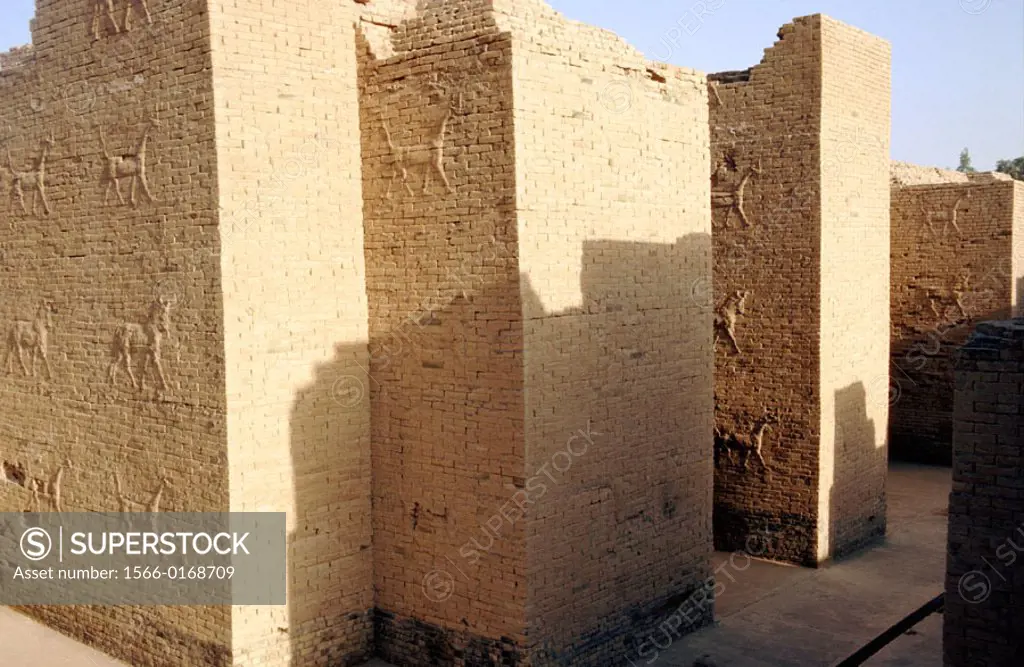 South Palace. Archeological site of Babylon. Irak