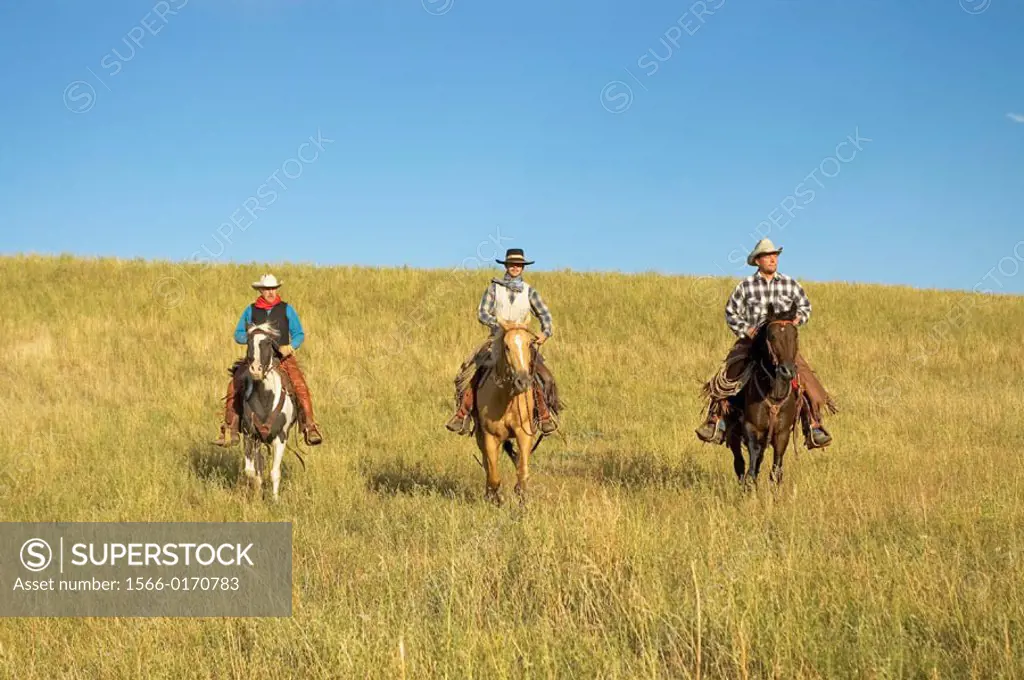 Cowboys riding the range. Montana. USA
