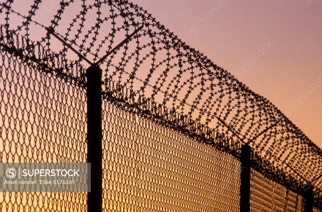Razor wire security fence