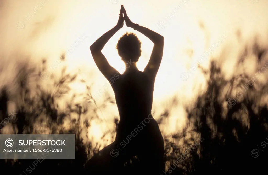 silhouette of a yoga teacher
