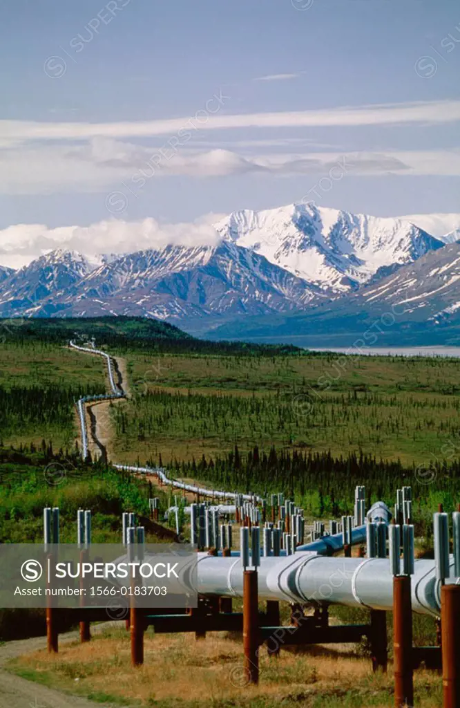 Trans-Alaska pipeline. Alaska. USA